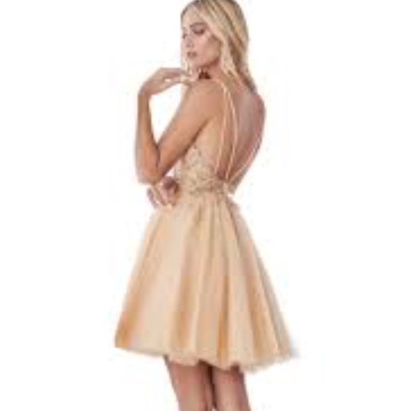 Cinderella Divine CD0155 - Picture 4 of 4